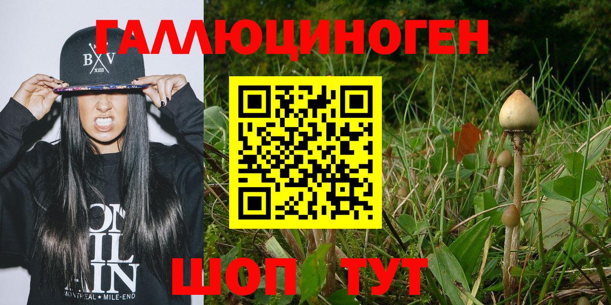 Псилоцибиновые грибы прущие грибы  Вход с VPN  Псилоцибиновые грибы Magic Shrooms  Ростов-на-Дону 