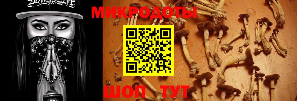Псилоцибиновые грибы Magic Shrooms Ростов-на-Дону